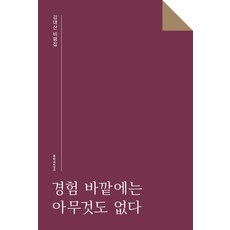 經驗之外 一無所有, 文學與知性社, 金大山