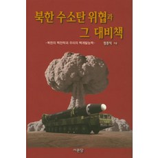 Seomundang 北韓氫彈威脅與其應對策略：北韓的核戰略與我們的核開發能力, 張俊益