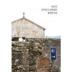 Saebyeokgamseong 你也需要聖地牙哥朝聖之路嗎?, 金智善, 不適用
