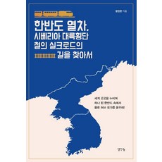 ThinkBook 韓半島列車 尋找西伯利亞橫貫大陸鐵路絲路： 走遍世界各地 在統一的韓半島中夢想成為物流樞紐國家!, 王禎煥