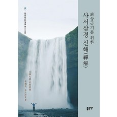 사서삼경 선해(禪解) : 최상근기를 위한, 좋은땅, 방석영