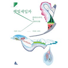 햇빛세입자 - 훈데르트바서 첫 사랑의 문법, 알마, 서윤후
