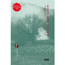 꿈꾸었던 동화의 나라와 작별, 종문화사, 페터 한트케