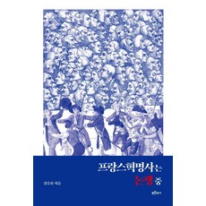 法國大革命史的爭論, 金應鍾, 藍色歷史