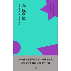 시 없는 삶 - 읻다 시인선 5, ITTA, 페터 한트케