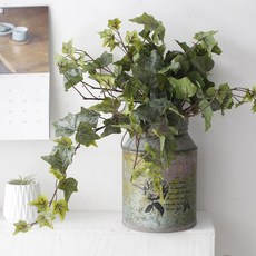 cherihauseu 人造常春藤藤枝, 單色