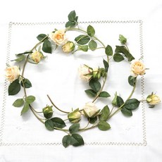 Market Blue 人造玫瑰藤, 杏