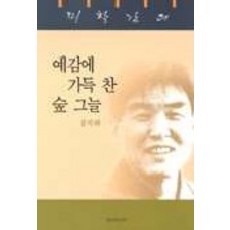 예감에 가득 찬 숲 그늘(미학강의), 실천문학사, 김지하 저