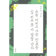 Silcheon 拋棄小農的進步 走不到十里路就會發病, 千圭錫 著