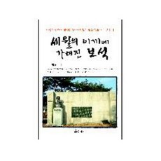 被歲月苔蘚掩蓋的寶石, 金炳權 著, 藝家