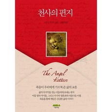 천사의 편지:죽음이 우리에게 가르쳐 준 삶의 교훈, 마음의숲, 노먼 J. 프리드 저/신혜경 역