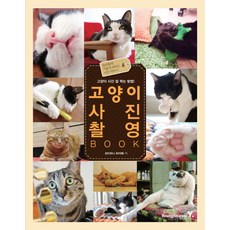 고양이 사진 촬영 BOOK:고양이 사진 잘 찍는 방법, 영진닷컴, 821 저/김지혜 역
