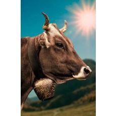 Alpine Cow with Bell: Wide College Ruled Journal / Notebook / Diary / 250 Pages - 5.5 X 8.5 Inches Pa…, Createspace Independent Publishing Platform
