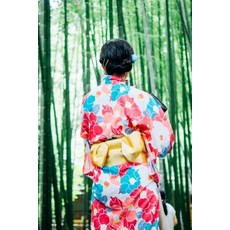 Woman in a Colorful Kimono Walking in a Gorgeous Green Bamboo Forest Journal: 150 Page Lined Notebook/..., Createspace Independent Publishing Platform