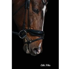 Ethi Pike - Rider's Dream Notebook / Extended Lines / Soft Matte Cover: An Ethi Pike Collectible Journ..., Createspace Independent Publishing Platform