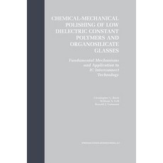 Chemical-Mechanical Polishing of Low Dielectric Constant Polymers and Organosilicate Glasses: Fundamen..., Springer