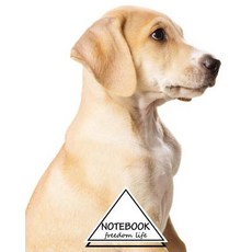 Notebook Journal Dot-Grid Graph Lined: Golden Labrador: Pocket Notebook Journal Diary 120 Pages 8 ..., Createspace Independent Publishing Platform