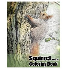松鼠：著色書第 4 卷：一本包含 30 種不同風格的松鼠設計的著色書..., Createspace獨立發布平台