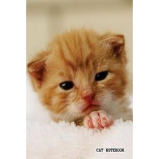 Cat Notebook: 6x 9 Lined Notebook Cat Composition Notebook Journal and Diary100 Pages (Volume 1) Pape..., Createspace Independent Publishing Platform