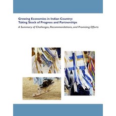 Growing Economies in Indian Country: Taking Stock of Progress and Partnerships- A Summary of Challenge..., Createspace Independent Publishing Platform