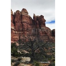 Canyonlands: National Parks of the United States National Park in Utah- 6'' X 9'' Lined Notebook- Wor..., Createspace Independent Publishing Platform