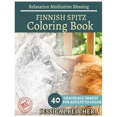 芬蘭斯皮茨成人著色書放鬆冥想祝福：草圖著色書 40 灰色..., Createspace獨立發布平台