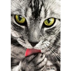 Ethi Pike - Tabby Notebook / Extended Lines / Soft Matte Cover: An Ethi Pike Collectible Journal: Cats..., Createspace Independent Publishing Platform