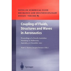 航空中的流體結構和波的耦合：法國-澳大利亞研討會的會議記錄..., 施普林格