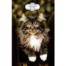 Notebook: Journal Dot-Grid Graph Lined Blank No Lined: Cat at the Fence: Small Pocket Notebook Jour..., Createspace Independent Publishing Platform