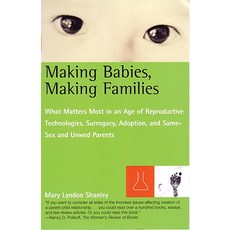 Making Babies Making Families: What Matters Most in an Age of Reproductive Technologies Surrogacy A..., Beacon Press (MA)