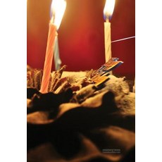 Journal Pages - Birthday Cake: 6 X 9 Lined Journal Blank Book Notebook Durable Cover 150 Pages for ..., Createspace Independent Publishing Platform