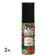 스멜리 룸앤패브릭 섬유탈취제 리얼 그레이프프룻, 60ml, 2개