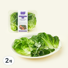 원에이커팜 무농약 인증 피슈트 완두순 믹스, 100g, 2개, 1개입