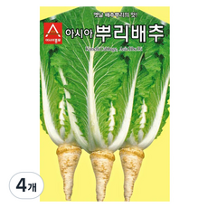 아시아종묘 아시아뿌리배추 씨앗 2000립, 4개