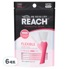 리치 플렉서블 치간칫솔 마이크로 50입 + 전용 케이스 2p 세트, 0.6mm, 6세트