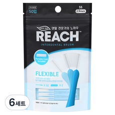 리치 플렉서블 치간칫솔 에스에스 50입 + 전용케이스 2p 세트, 0.9mm, 6세트