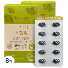비너지 은행잎 영양제, 8개, 12g