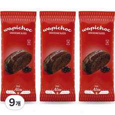 [쿠팡수입] 인파나사 초코케이크 슬라이스, 200g, 9개