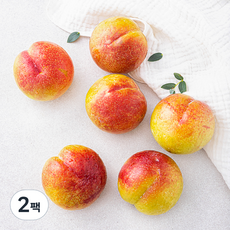 볕이들다 당도선별 추희 자두 왕특, 2팩, 1.2kg