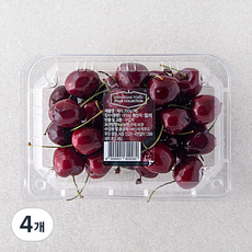신세계푸드 칠레 체리, 350g, 4개