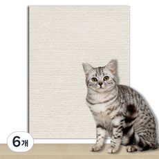 그린허그 잘라쓰는 고양이 스크래처 스티커, 크림, 6개