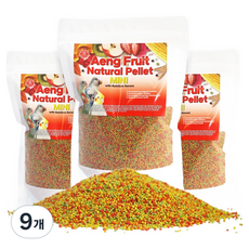 앵프룻 소형 앵무새 과일 필렛 먹이, 500g, 9개