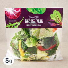 파프리카 & 샐러드 키트, 200g, 5개