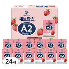 세브란스에이투 전용목장 단백우유 딸기, 125ml, 24개
