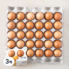 양지뜨레 건강하게 구운란 1050g, 30구, 3팩