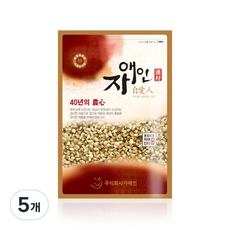 자애인 토종 볶은 홍화씨, 600g, 5개