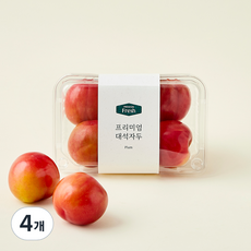 프리미엄 대석자두, 300g, 4개