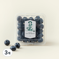 문선진 농부의 무농약 신칠라 왕블루베리, 100g, 3개