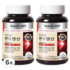 뉴트리디데이 프리미엄 판토텐산 90p, 90정, 6개