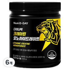 뉴트리디데이 다이나믹 크레아틴 모노하이드레이트, 300g, 6개